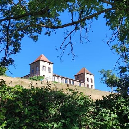 Chateau De Gorze Germolles-sur-Grosne Екстер'єр фото