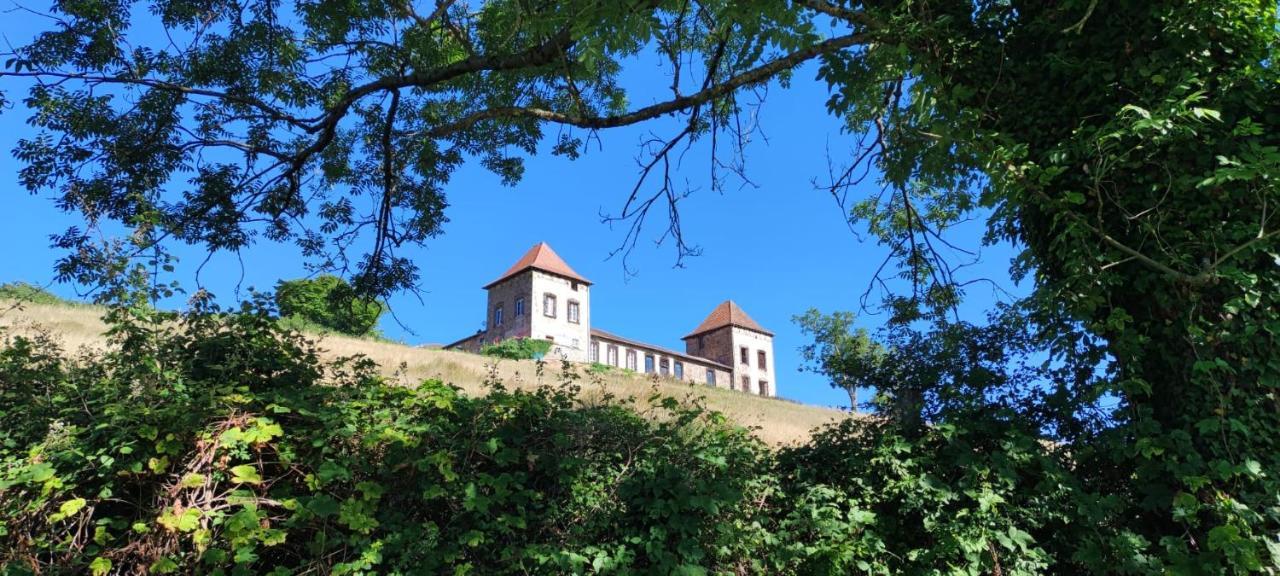Chateau De Gorze Germolles-sur-Grosne Екстер'єр фото