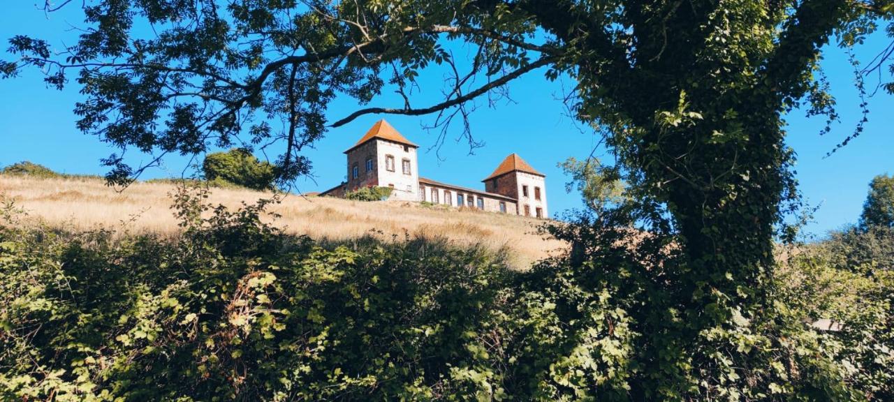 Chateau De Gorze Germolles-sur-Grosne Екстер'єр фото